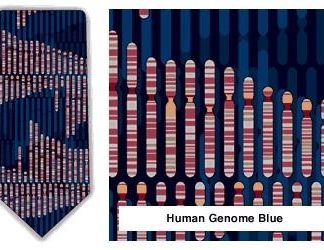 Human Genome  Neck Tie (Navy & Wine)