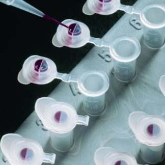 0.5ml Natural TabTop Microcentrifuge Tubes