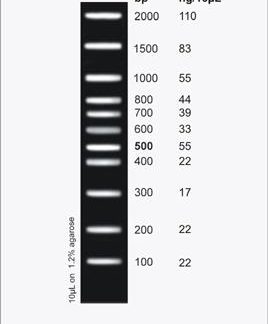LowRanger 100bp DNA Ladder, 100 Loads