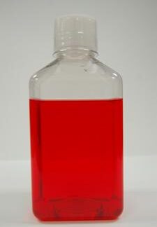 Cord Blood Multipotent Unrestricted Somatic Stem Cell Expansion Media