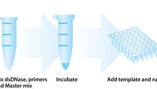 PCR Decontamination Kit
