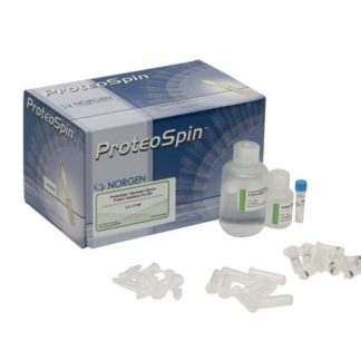 Detergent-Free Total Protein Isolation Kit