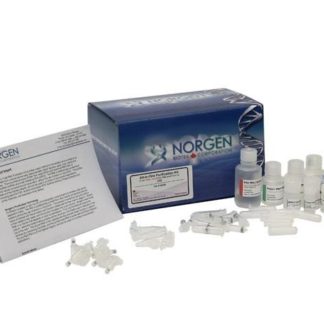 RNA/DNA/Protein Purification Plus Micro Kit