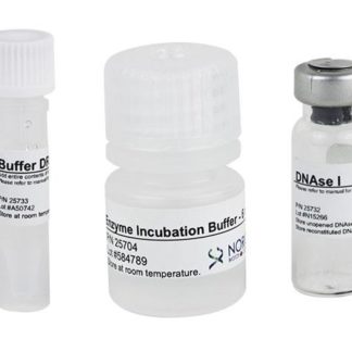 RNase-Free DNase I Kit