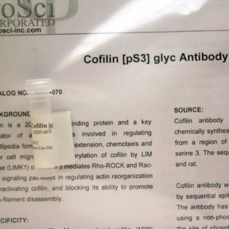 Cofilin (pS3) glyc, Antibody