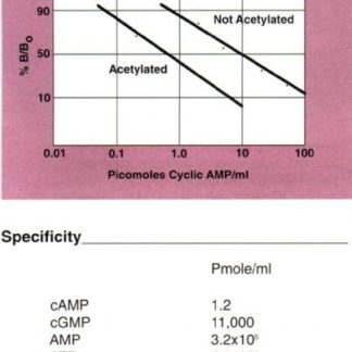Cyclic AMP EIA Kit