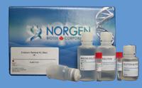 Endotoxin Removal Kit (Maxi) – For DNA