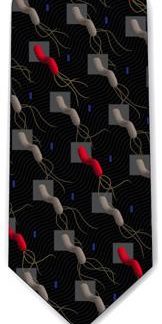 H.pylori Neck Tie (Black & Red)