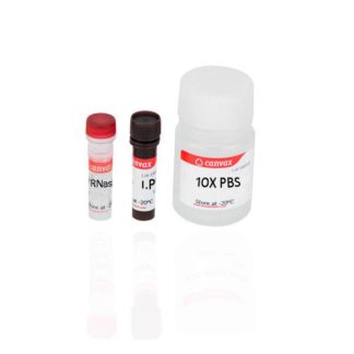 PI / Cell Cycle Analysis Kit
