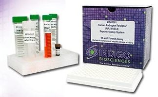 Human Retinoid X Receptor Gamma Reporter Assay System