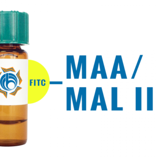 Maackia amurensis (Amur maackia) Lectin (MAA/MAL II) - FITC (Fluorescein)