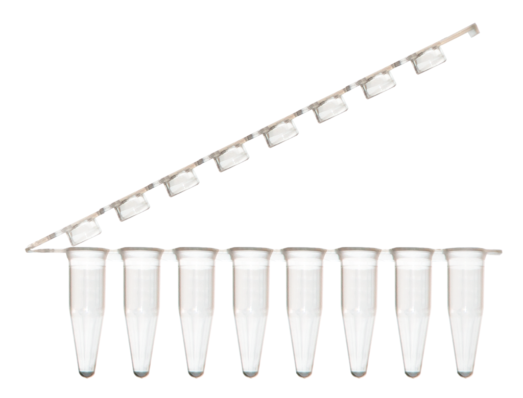 UltraFluz z 0.2ml 8-Tubes per Strip with attached 8-Strip Caps