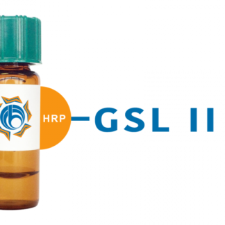 Arachis hypogaea Lectin (PNA) - HRP (Horseradish Peroxidase) (5mg)