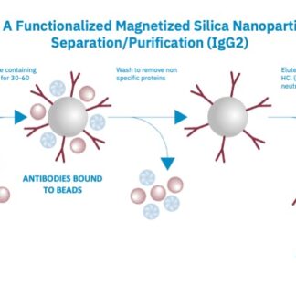 Dispersions of Magnetic Silica Nanoparticles, 500nm, 2.5% (Aqueous)