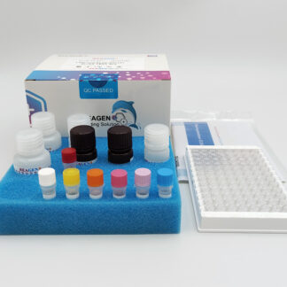 Ciprofloxacin ELISA Test Kit