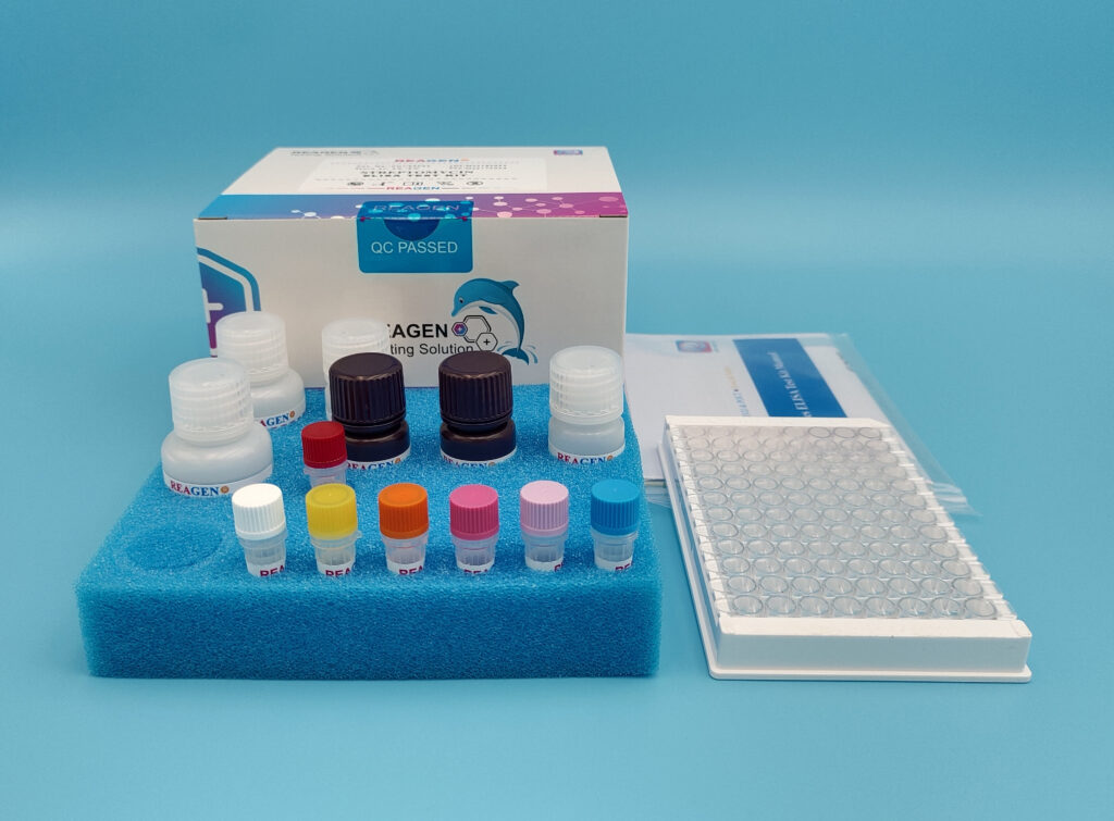 Testosterone ELISA Test Kit