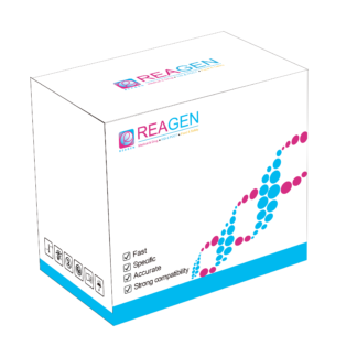 Nucleic Acid?DNA/RNA?Releaser