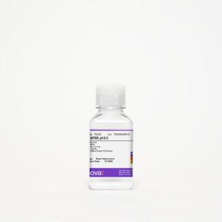 TE Buffer, pH 8.0. (10mM Tris, 1mM EDTA). 250mL, Sterile, DNase/RNase Tested, PCR Grade.