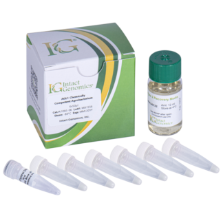 AGL1 chemically competent Agrobacterium 6x50µl