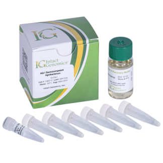 AGL1 ElectroCompetent Agrobacterium 6x50µl