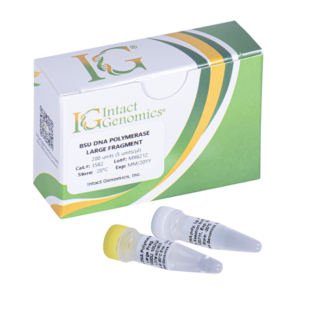 Bsu DNA Polymerase Large Fragment 1000 Units (5 units/µl)