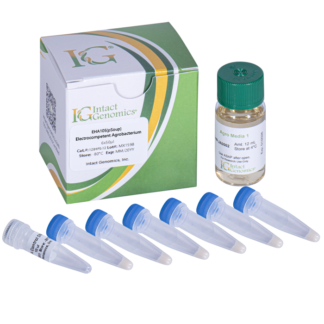 EHA105 (pSoup) ElectroCompetent Agrobacterium 6x50µl