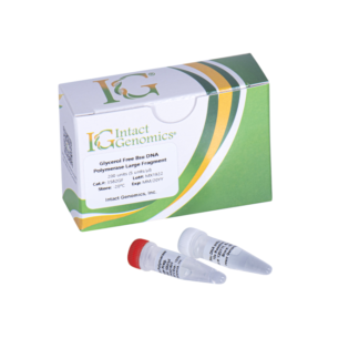Glycerol Free Bsu DNA Polymerase Large Fragment 200 Units (5 units/µl)
