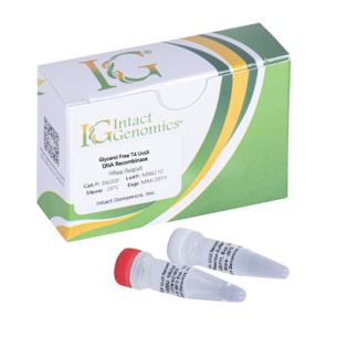 Glycerol Free T4 UvsX DNA Recombinase 100µg (5?g/?l)
