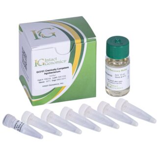 GV3101 chemically competent Agrobacterium 6x50µl