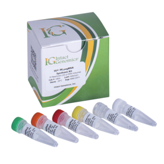 IG® PE pegRNA Synthesis Kit 10 RNS (20 µl RXN Volume)
