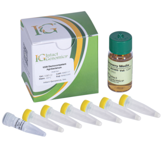 K599 ElectroCompetent Agrobacterium 6x50µl
