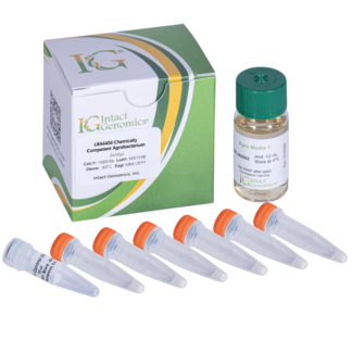 LBA4404 Chemically competent Agrobacterium 6x50µl