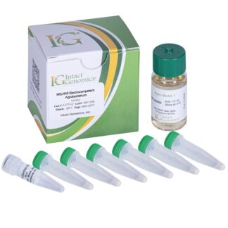 MSU440 ElectroCompetent Agrobacterium 6x50µl