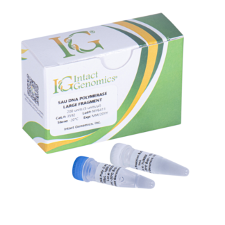 Sau DNA Polymerase Large Fragment 200 Units (5 units/µl)