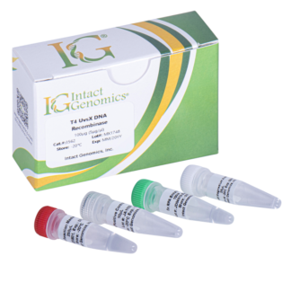 T4 UvsX DNA Recombinase 100µg (5?g/?l)
