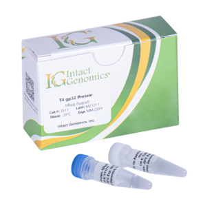 T4 gp32 Protein 500µg (5µg/µl)