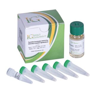 Thymidine Auxotrophic EHA101Thy- Chemically Competent Agrobacterium 5x50 µL