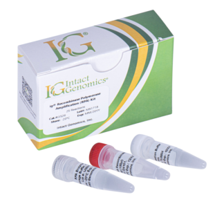 ig® Recombinase Polymerase Amplification (RPA) Kit 25 Reactions