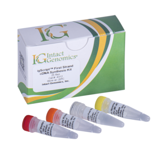 igScript First Strand cDNA Synthesis Kit 100 Reactions