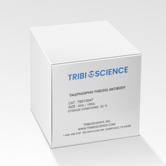 Tau(Phospho-Thr205) Antibody