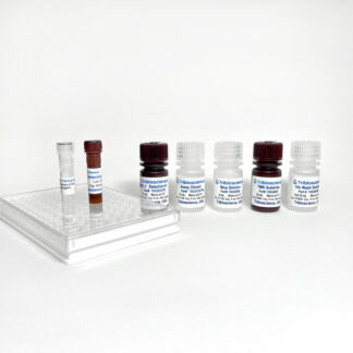 Human UCHL1/PGP9.5 ELISA