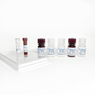 Human thyroglobulin/TG Fast ELISA