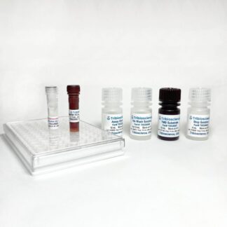 Human Total-H2AX Fast ELISA
