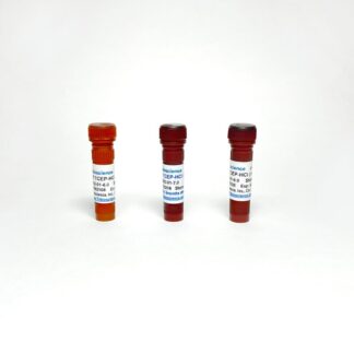 0.5M TCEP-HCl Solution, pH=7.0