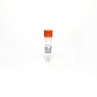 Human Adenosylhomocysteinase / AHCY recombinant protein, bioactive
