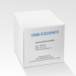 Bovine Serum Albumin (BSA)