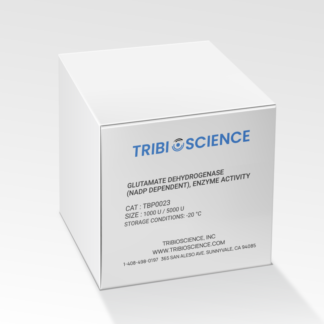 Glutamate dehydrogenase(NADP dependent)