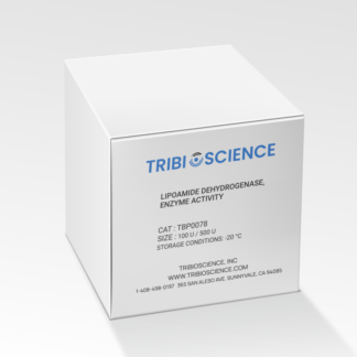Lipoamide Dehydrogenase (LD)