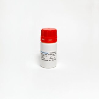 Lysozyme