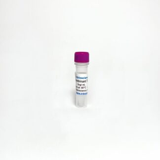 Recombinant human Tryptase alpha/beta-1 protein